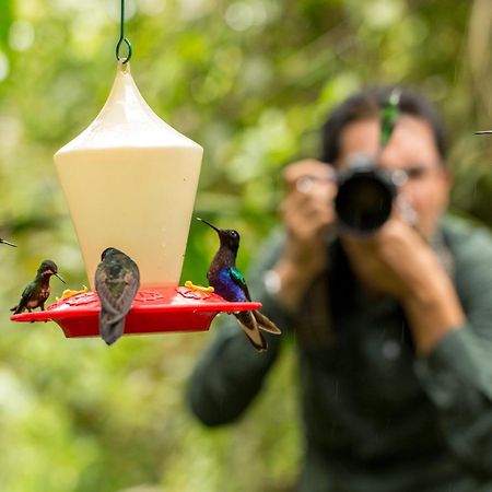 Mashpi Lodge Pacto Exteriér fotografie